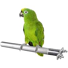 Bird Perch Stainless Steel Stand Parrot Rod Grinding Claws Trimming Beak Nails Grinding Stick Exercise Platform for Parakeet Cockatiel Conure African Grey Macaw Finch Bird Cage Accessories (S)
