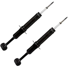Front Pair Struts Shocks (Steel) E80884401CP