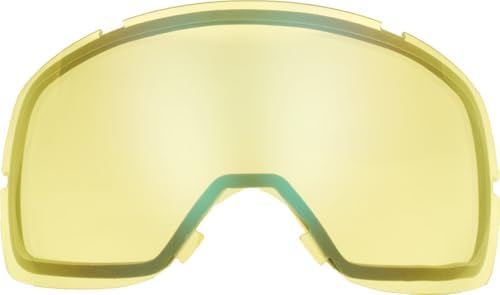 SMITH Compatible Snow Goggles with Replacement Lenses [VICE]