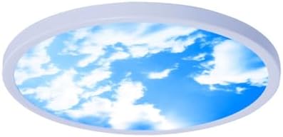 LED Flush Mount Ceiling Light, Dimmable Blue Sky & Clouds Ceiling Lighting Fixtures with Remote Control, Ultra ThinEye ProtectionWhite Shell Indoor Ceiling Lamp for Office Bedroom Living Room