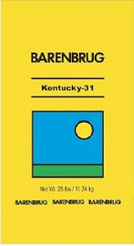 Barenbrug 701695 Kentucky 31 Coated Tall Fescue Grass Seed, 25 Lbs. - Quantity 40