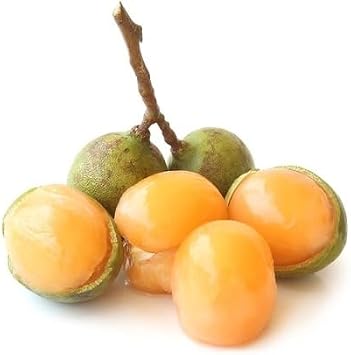 80pieces Orange Mamoncillo Fruit Seeds