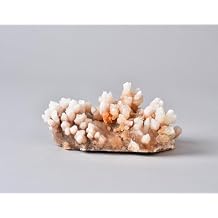 AMOYSTONE Natural Beige Crystal Cluster (0.5-1 lb) - Raw Mineral Specimen for Kids Science Education, Home Office Desk Decor & Healing Stones Collection