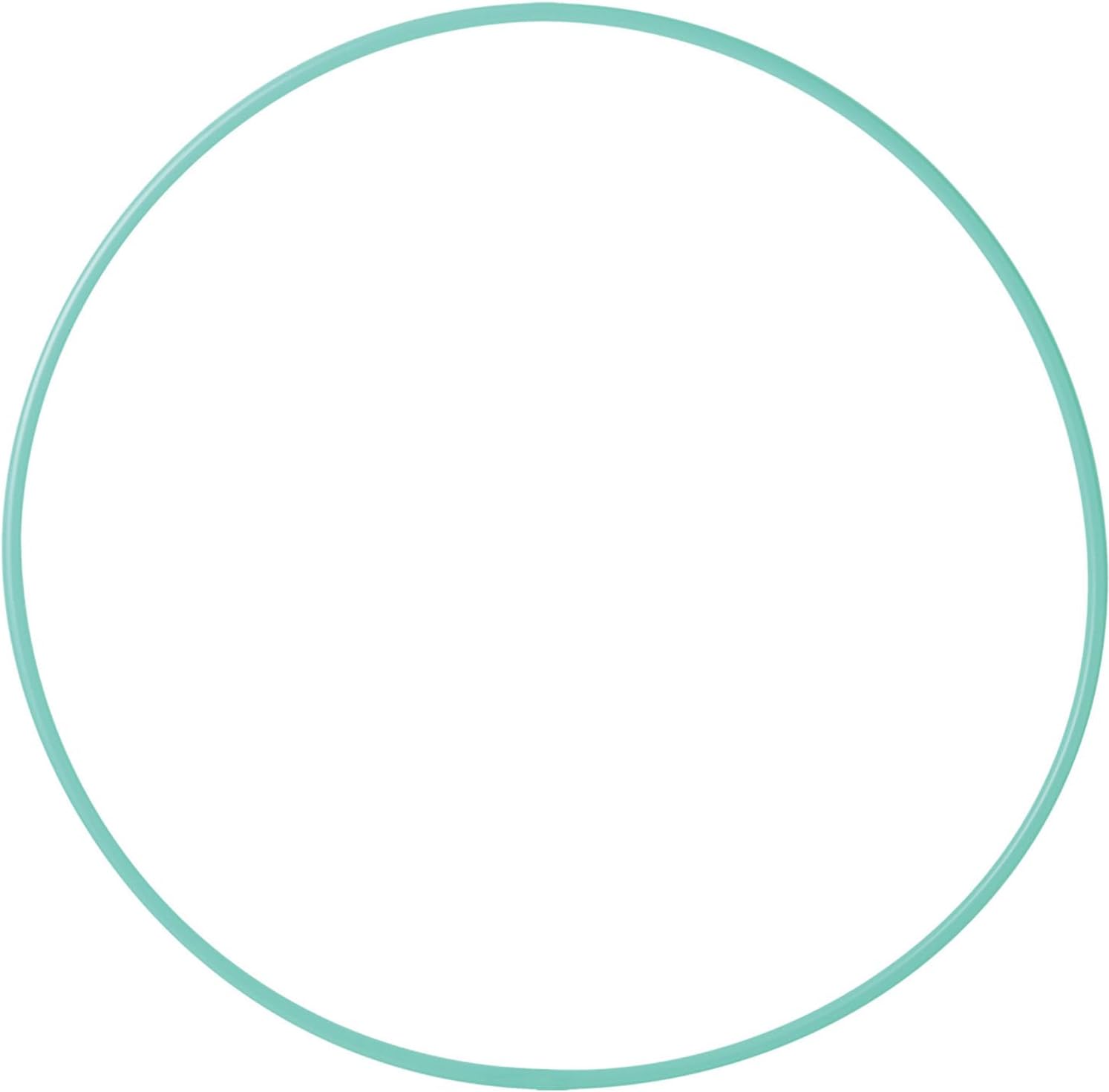 SASAKI Gymnastics Handicraft Standard Hoop M13