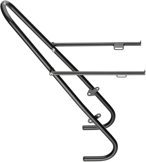 Tubus Cycle Rack's Tara Lowrider