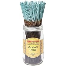 Wild Berry Incense Sticks - Ocean Wind - Invigorating Citrus Scent with Jasmine - Hand Dipped in The USA (100 Count)