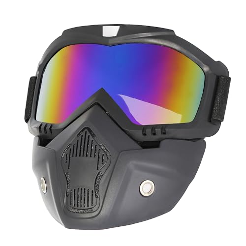 Paintball Mask Anti Fog,Tactical Mask Full Head Ski Goggles Detachable Face Protection Gear,Boating Cycling Skiing 20x17x5
