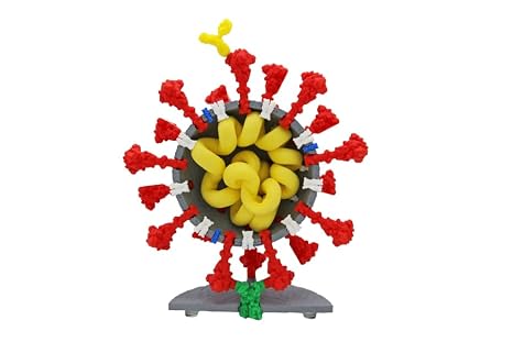 Coronavirus Models (9" Gray/Red)