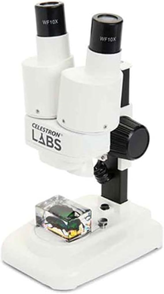 Celestron Labs S20 Straight Stereo Binocular Microscope for Large Specimen | 20x Magnification, Straight Binocular Viewing, Top & Bottom LED Illumination, Three-Dimensional Views, Wide Working Distance