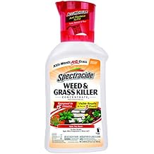 Spectracide Weed and Grass Killer Concentrate, 32 Ounces, With Accumeasure System (Case of 6)