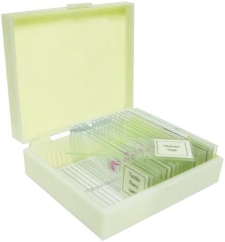 VSE117 Prepared Slide Set Water Life (Set of 12)