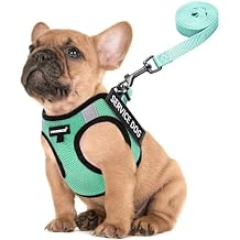 FAYOGOO Dog Harness for Small Dogs - Lightweight Service Dog in Training Harness with 6PCS Removable Patches - Puppy Harness for Walking Training