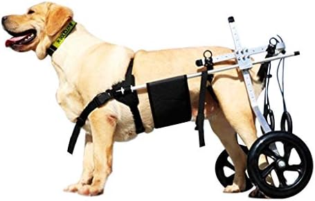 Wheelchair for Large Dogs, Leg Brace for Dogs Back Leg Walkin Wheels Dog Wheelchair Hind Legs Rehabilitation, Suitable for 20-60kg Dogs (Size : Large)