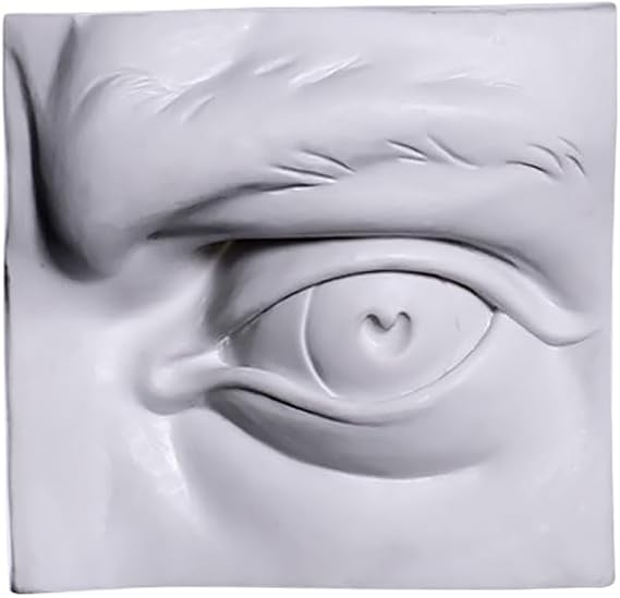 Resin Plaster Sculpture of Facial Features (Eyes, Ears, Nose, Mouth Contour and Shading), Sketch and Color Universal, Still Life Drawing and Portrait Shaping Learning Tool (Eye (Shading))