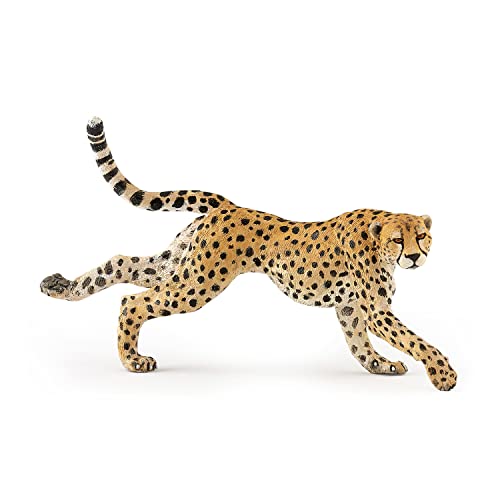 Papo - Realistic Running Cheetah Figure Toy for Kids - Ages 3 Wild Life Collection - Educational Play Animal Speed - Gift Idea Toy for Girls and Boys - 4.9 in