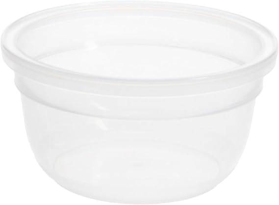 Snapware 1.2-Cup Total Solutions Plastic Food Container - Made in USA