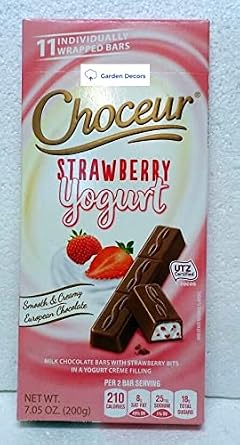 Choceur Strawberry Yogurt Smooth Creamy European Chocolate 7.05oz 200g