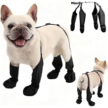 BECEMURU Dog Rain Boots for Small Dogs, Dog Shoes for Hot Pavement, Waterproof Anti-Slip Paw Protector with Adjustable Strap, Keep Paws Clean & Dry During Summer Rain, Perfect for Outdoor Walking(M)