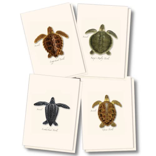 Earth Sky  Water - Sea Turtle Juveniles Assortment Notecard Set - 8 Blank Cards with Envelopes 2 each of 4 styles