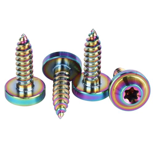 4Pcs Titanium M5 18mm Self Tapping Screw T25 Torx Head Motorcycle Bolt Ranibow