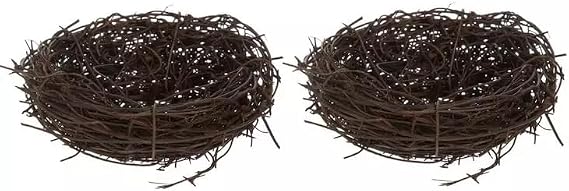 Spring Twig Mini Bird Nests - 2 Count (2.5 Inch)