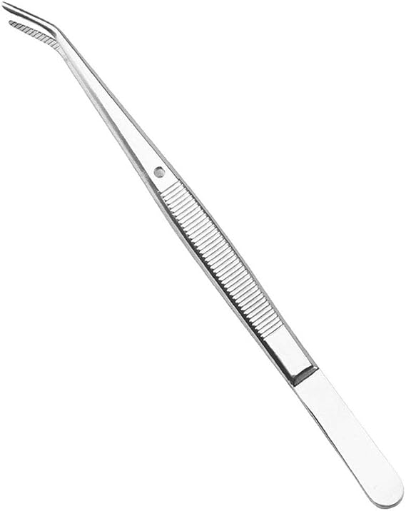 Dental tools-Stainless Steel Tweezers with Curved Serrated Tip Multipurpose Forceps for Family Oral Care Denture Teeth Cleaning