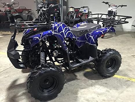 TAO TAO Model # 125D ATV 110cc Fully Auto with Reverse - SPIDER BLUE