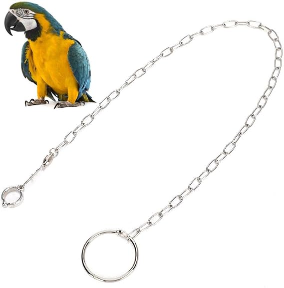 Toys,Bird Foot Chain StainlessSteel Split Foot Chain Bird Leash Opening Activity for Large Anklet for Birds Parrots
