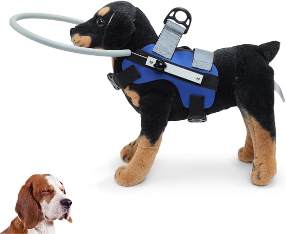 QingYi Blind Dog Halo,Adjustable Blind Dog Harness,Blind Dog Bumper to Protect Cats and Dogs with Blindness, Blurred Vision, Sick Eyes from Collision (M)