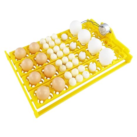 Multi-Function Incubator Egg Tray 24 Plastic Automatic Egg Turning Tray with 110V Auto Turn Motor