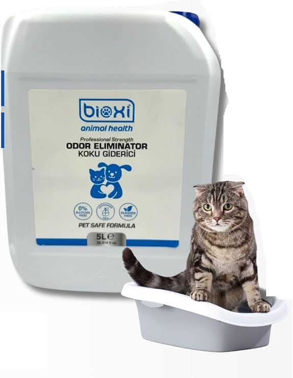 Kedi Kumu Koku Giderici Parfümsüz Dezenfektan 5 lt