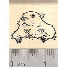 Groundhog Day Rubber Stamp, Marmot Emerging from Burrow