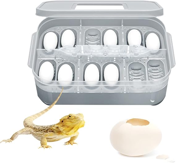 Eggs with 12 Grids, Professional Reptile Incubators, Reptile Eggs, Egg Box, Container Box for Snakes, Gecko, Lizard Frog,