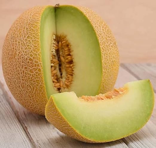 Seeds Galia Melon (Honeydew and Cantaloupe) Non GMO Heirloom