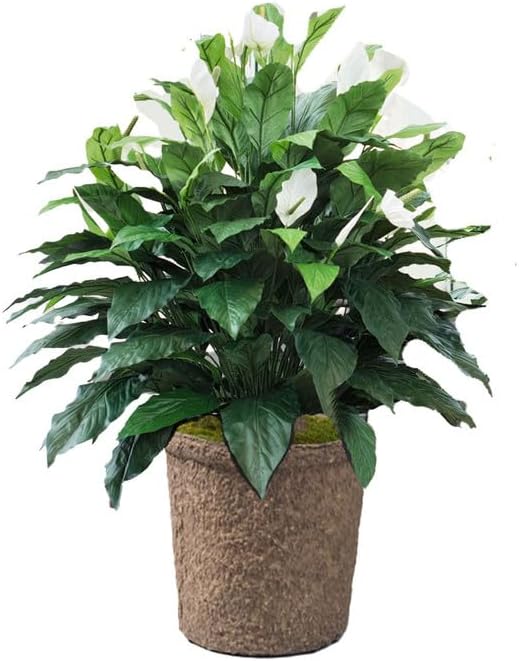 Petals Double Full Spathiphyllum Artifical Floor Plant with Liner Handcrafted & Amazingly Lifelike