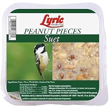 Lyric Peanut Pieces High Energy Suet Cakes for Wild Birds, 12 oz. (12 Pack)