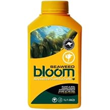Bloom Yellow Bottles Seaweed