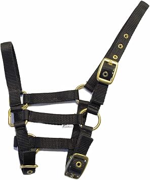 Rhinegold Nylon Foal Headcollar