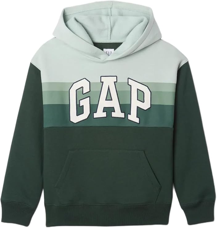 GAP Boys' Logo Pullover Hoodie