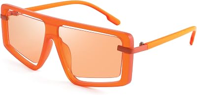 FEISEDY Retro Square Sunglasses Women Men Fashion Tinted Lens UV400 Protection Shades B2865