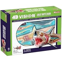 Detachable 20 Parts Shark Organ Anatomy Model,4D Vision Animal Anatomical Model,for Study Display Teaching Medical Model