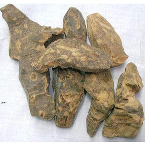 Veena CHOBCHINI - CHOPCHINI - China Root - Smilax GLABRA (100 GMS)