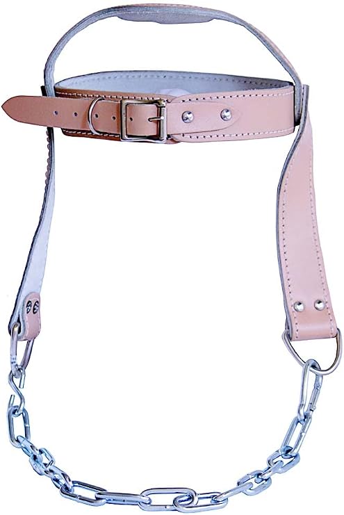 Body-Solid Nylon Head Harness - Neck Workout Equipment for Strength Training, Neck Exercise and Weight Lifting, Brown