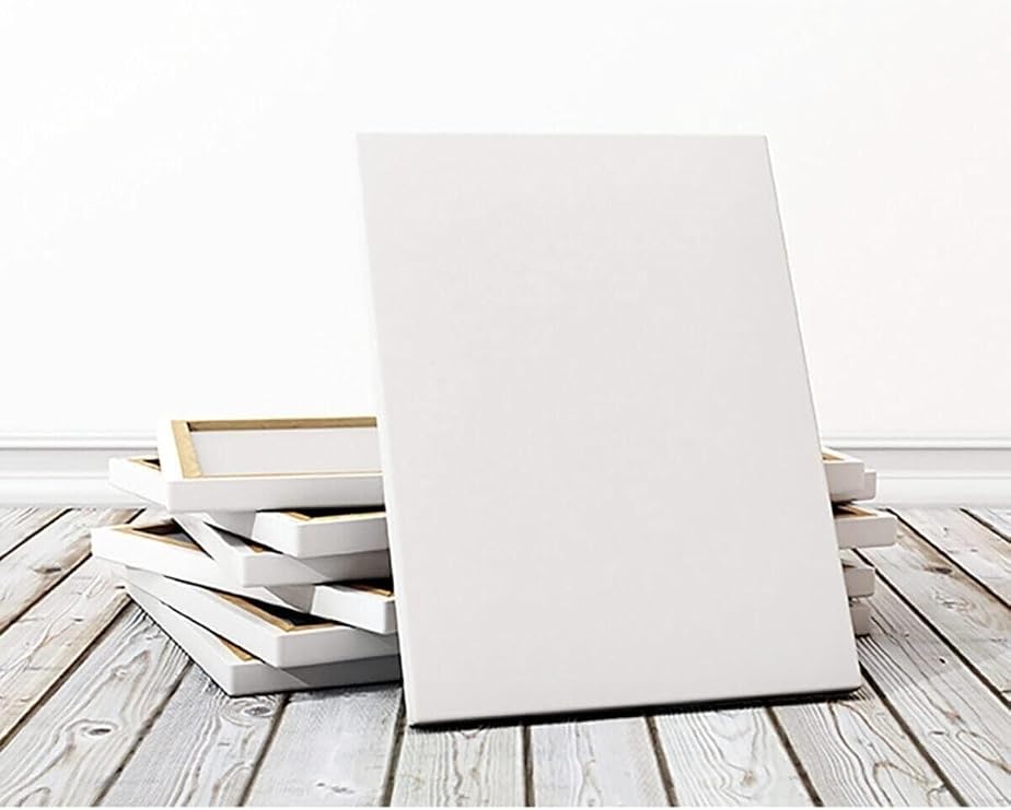 Lona professional canvas 70x100 cm