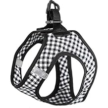 195820010557 Zzip Harness