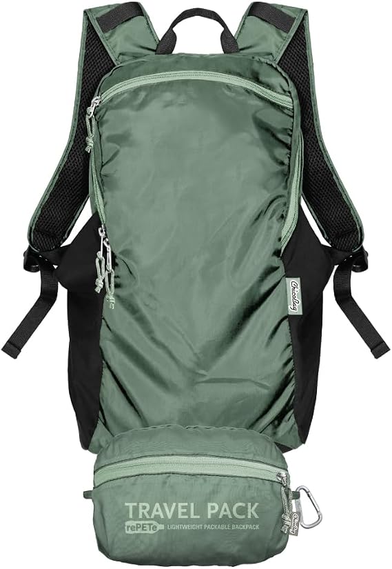 ChicoBag Travel Pack rePETe + Refine | Eco-friendly Lightweight and Packable Travel Backpack (Sage)