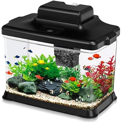 DaToo Small Fish Tank Ultra-Clear 1.6 Gallon Aquarium Starter Kits with LED Lighting and Filter System Beginner-Friendly Mini Betta Aquarium for Small Fish Shrimp Desktop Room Decoration