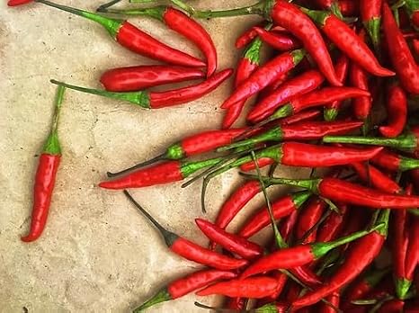 KEJORA Fresh Red Chili Peppers, Whole, 0.5 lb
