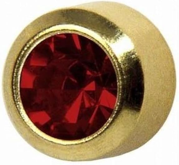 Studex January Garnet 24k Gold Birthstone Bezel Stud Earrings | 3mm | Hypoallergenic & Nickel-Free for Sensitive Ears