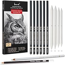 Brusarth Charcoal Drawing Set -12 pc Black charcoal pencils, White Charcoal Pencils, Eraser Pencils, Blending Stumps for Drawing, Sketching, Shading, Artist Pencils for Beginners & Artists